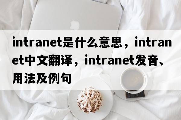 intranet是什么意思，intranet中文翻譯，intranet發(fā)音、用法及例句