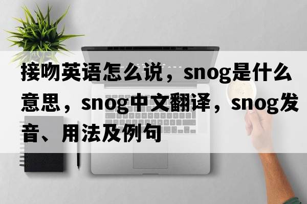 接吻英語(yǔ)怎么說(shuō)，snog是什么意思，snog中文翻譯，snog發(fā)音、用法及例句