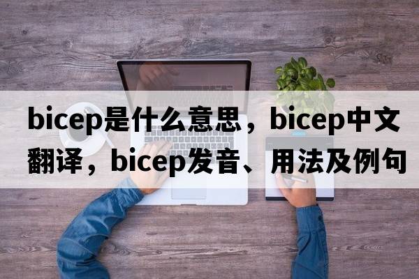 bicep是什么意思，bicep中文翻譯，bicep發(fā)音、用法及例句