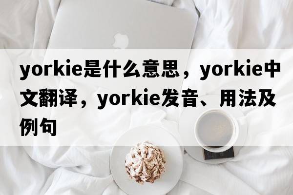 yorkie是什么意思，yorkie中文翻譯，yorkie發(fā)音、用法及例句