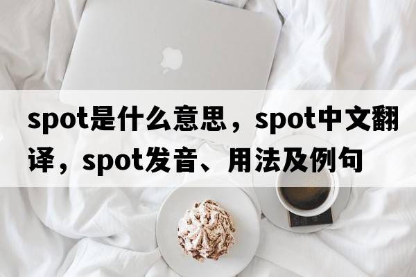 spot是什么意思，spot中文翻譯，spot發(fā)音、用法及例句