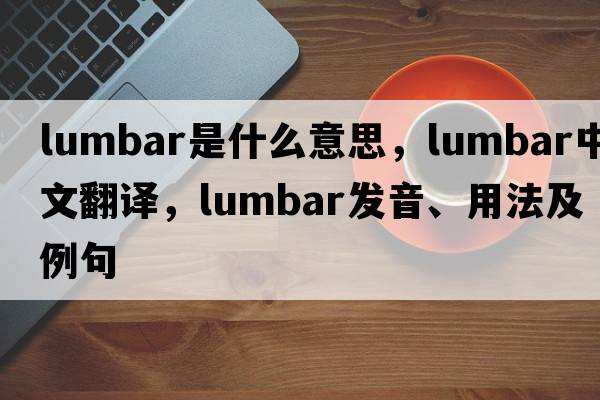 lumbar是什么意思，lumbar中文翻譯，lumbar發(fā)音、用法及例句