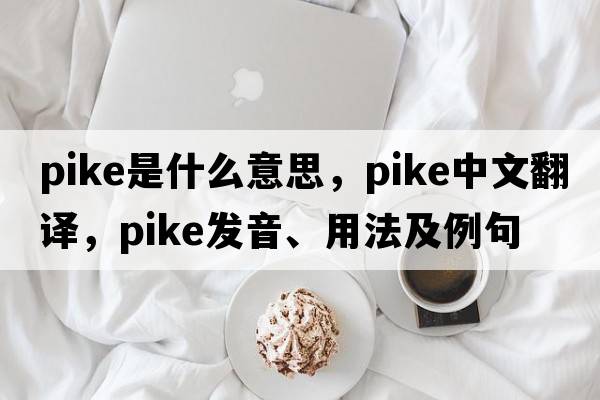pike是什么意思，pike中文翻譯，pike發(fā)音、用法及例句