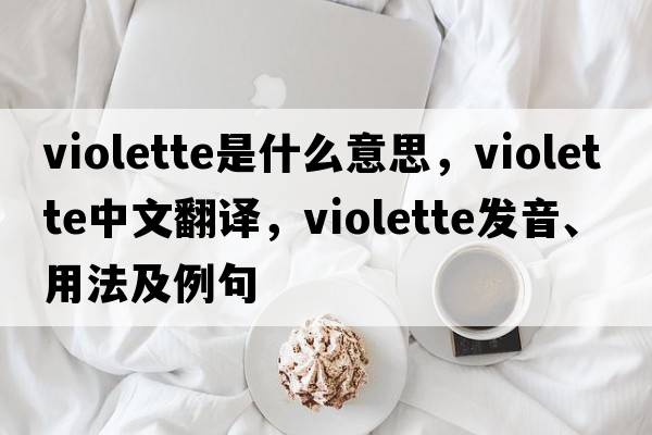 Violette是什么意思，Violette中文翻譯，Violette發(fā)音、用法及例句