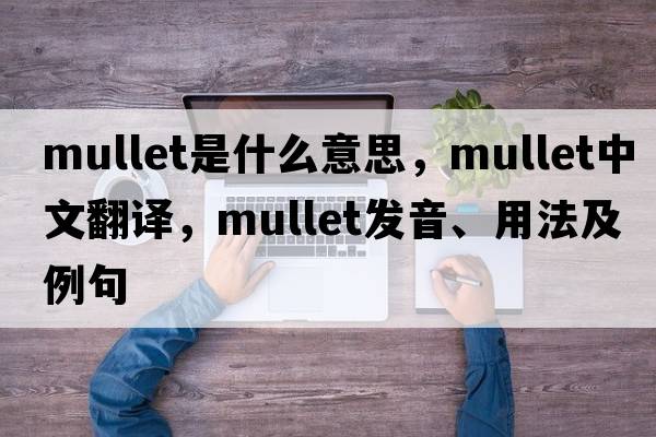 mullet是什么意思，mullet中文翻譯，mullet發(fā)音、用法及例句