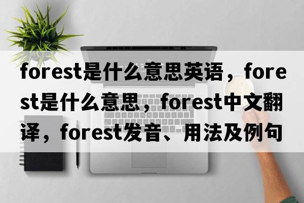 forest是什么意思英語(yǔ)，forest是什么意思，forest中文翻譯，forest發(fā)音、用法及例句