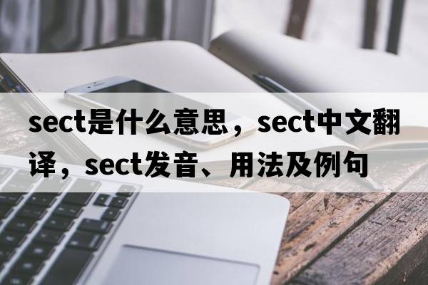 sect是什么意思，sect中文翻譯，sect發(fā)音、用法及例句