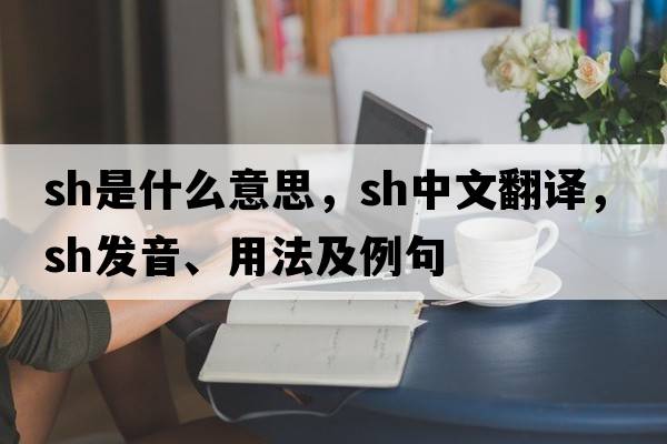 sh是什么意思，sh中文翻譯，sh發(fā)音、用法及例句