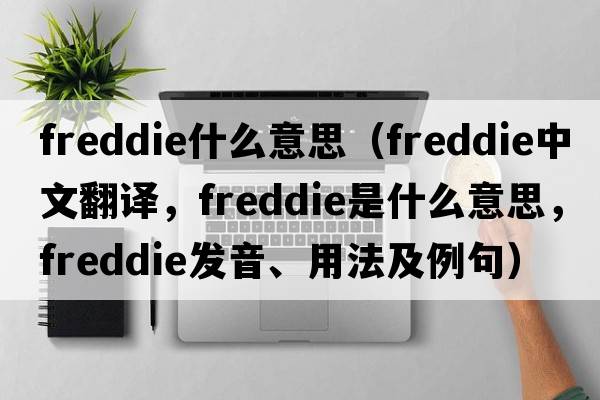 freddie什么意思（Freddie中文翻譯，Freddie是什么意思，Freddie發(fā)音、用法及例句）