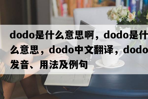 dodo是什么意思啊，dodo是什么意思，dodo中文翻譯，dodo發(fā)音、用法及例句