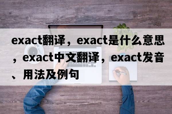 exact翻譯，exact是什么意思，exact中文翻譯，exact發(fā)音、用法及例句