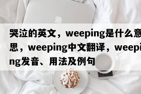 哭泣的英文，weeping是什么意思，weeping中文翻譯，weeping發(fā)音、用法及例句