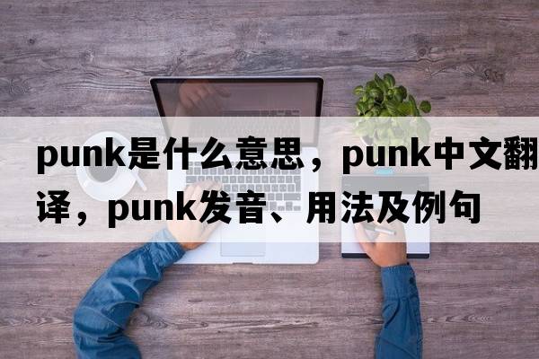 punk是什么意思，punk中文翻譯，punk發(fā)音、用法及例句