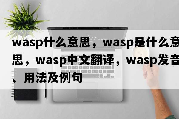 wasp什么意思，wasp是什么意思，wasp中文翻譯，wasp發(fā)音、用法及例句