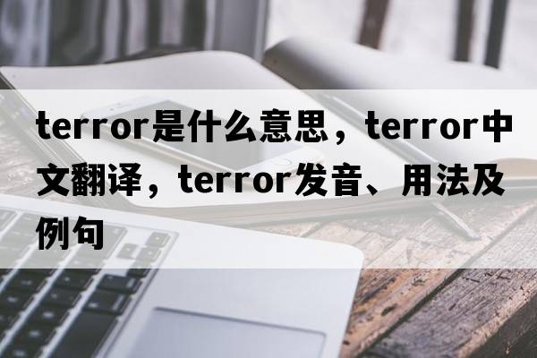 terror是什么意思，terror中文翻譯，terror發(fā)音、用法及例句
