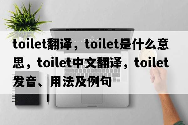 toilet翻譯，toilet是什么意思，toilet中文翻譯，toilet發(fā)音、用法及例句