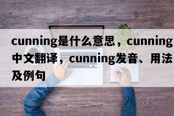 cunning是什么意思，cunning中文翻譯，cunning發(fā)音、用法及例句