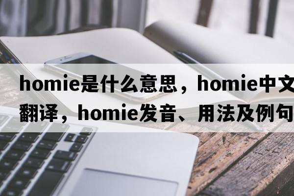 homie是什么意思，homie中文翻譯，homie發(fā)音、用法及例句
