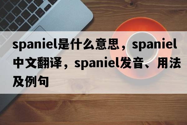 spaniel是什么意思，spaniel中文翻譯，spaniel發(fā)音、用法及例句