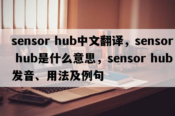 sensor hub中文翻譯，sensor hub是什么意思，sensor hub發(fā)音、用法及例句