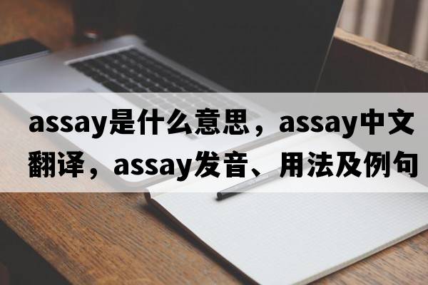 assay是什么意思，assay中文翻譯，assay發(fā)音、用法及例句