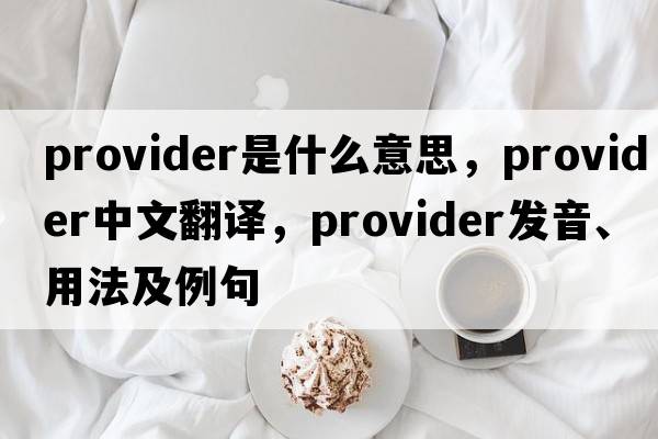 provider是什么意思，provider中文翻譯，provider發(fā)音、用法及例句