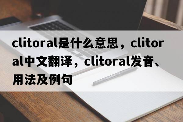clitoral是什么意思，clitoral中文翻譯，clitoral發(fā)音、用法及例句