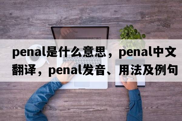 penal是什么意思，penal中文翻譯，penal發(fā)音、用法及例句