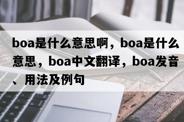 boa是什么意思啊，boa是什么意思，boa中文翻譯，boa發(fā)音、用法及例句