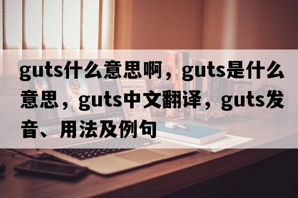 guts什么意思啊，guts是什么意思，guts中文翻譯，guts發(fā)音、用法及例句