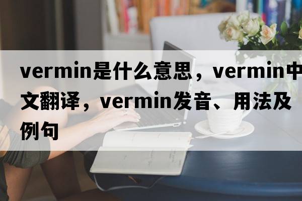 vermin是什么意思，vermin中文翻譯，vermin發(fā)音、用法及例句