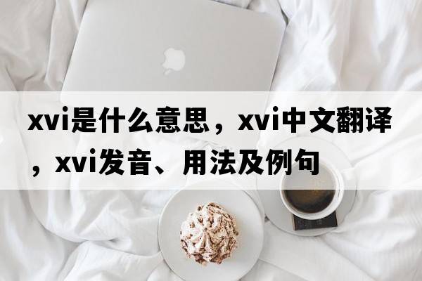 xvi是什么意思，xvi中文翻譯，xvi發(fā)音、用法及例句
