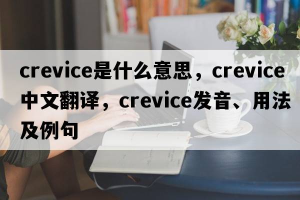 crevice是什么意思，crevice中文翻譯，crevice發(fā)音、用法及例句