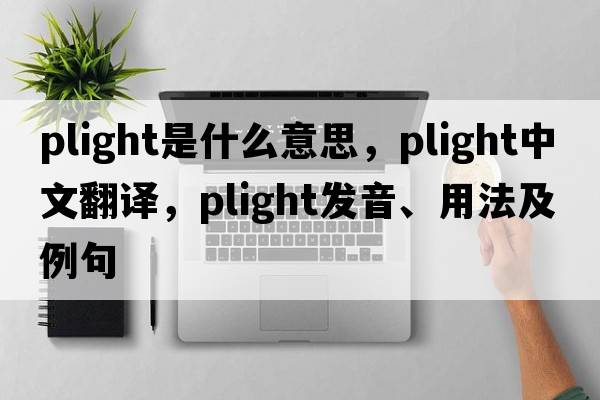 plight是什么意思，plight中文翻譯，plight發(fā)音、用法及例句