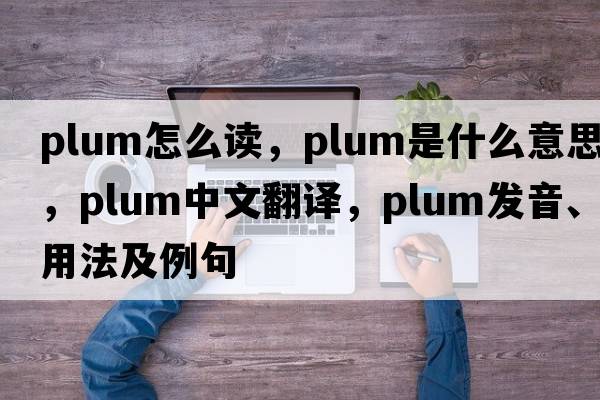 plum怎么讀，plum是什么意思，plum中文翻譯，plum發(fā)音、用法及例句