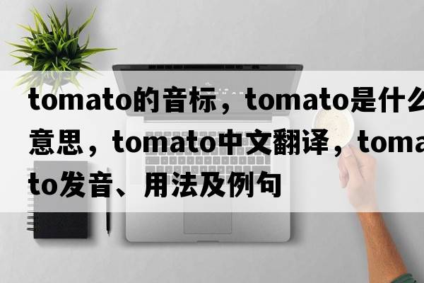 tomato的音標，tomato是什么意思，tomato中文翻譯，tomato發(fā)音、用法及例句