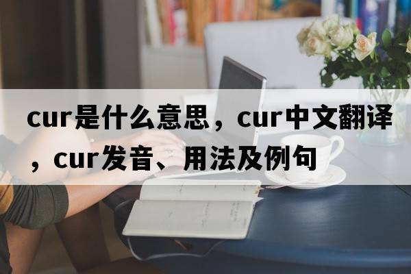 cur是什么意思，cur中文翻譯，cur發(fā)音、用法及例句