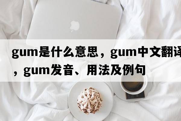 gum是什么意思，gum中文翻譯，gum發(fā)音、用法及例句