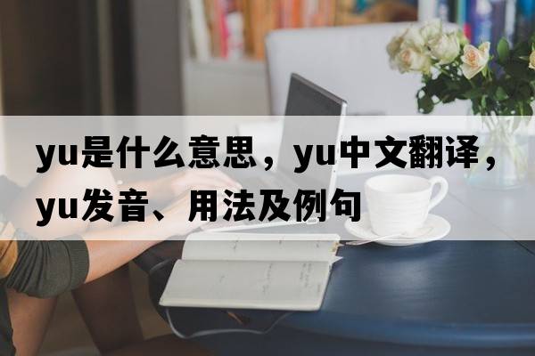 yu是什么意思，yu中文翻譯，yu發(fā)音、用法及例句
