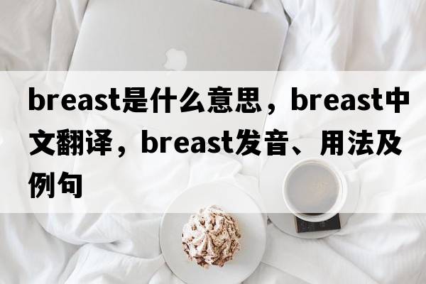 breast是什么意思，breast中文翻譯，breast發(fā)音、用法及例句