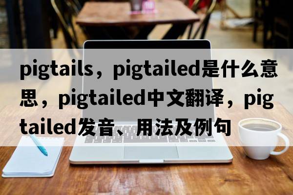pigtails，pigtailed是什么意思，pigtailed中文翻譯，pigtailed發(fā)音、用法及例句