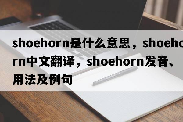 shoehorn是什么意思，shoehorn中文翻譯，shoehorn發(fā)音、用法及例句
