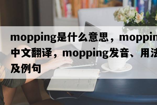 mopping是什么意思，mopping中文翻譯，mopping發(fā)音、用法及例句