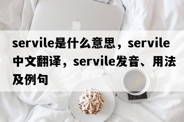 servile是什么意思，servile中文翻譯，servile發(fā)音、用法及例句