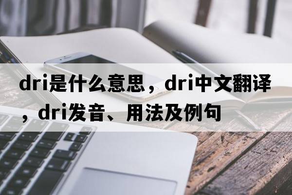 dri是什么意思，dri中文翻譯，dri發(fā)音、用法及例句