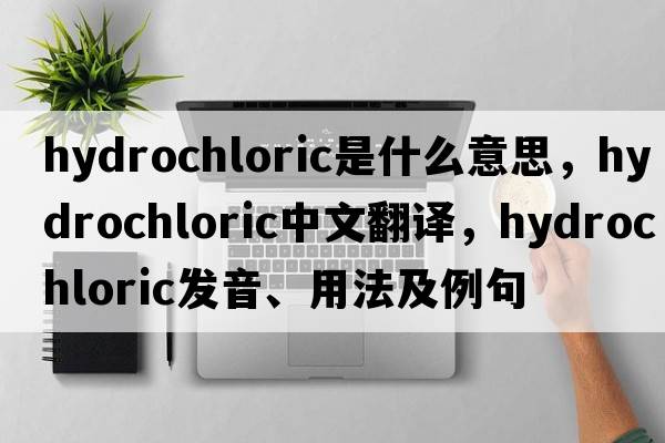hydrochloric是什么意思，hydrochloric中文翻譯，hydrochloric發(fā)音、用法及例句