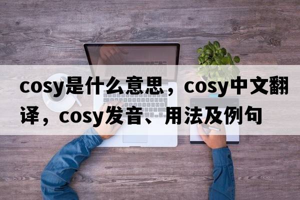 cosy是什么意思，cosy中文翻譯，cosy發(fā)音、用法及例句