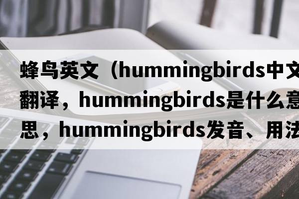 蜂鳥(niǎo)英文（hummingbirds中文翻譯，hummingbirds是什么意思，hummingbirds發(fā)音、用法及例句）