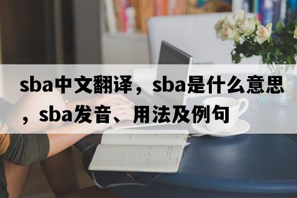sba中文翻譯，sba是什么意思，sba發(fā)音、用法及例句