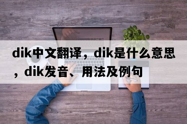 dik中文翻譯，dik是什么意思，dik發(fā)音、用法及例句